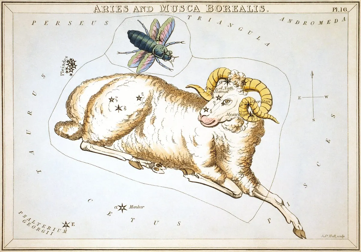 Съзвездието Овен в звездния атлас „Огледалото на Урания“ (Лондон, 1824)